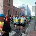 VII Marató BP Castelló