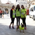 XIII Cursa de les Dones