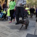 XIII Cursa de les Dones