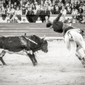 Corrida de rejones