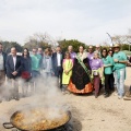 Concurso de paellas Intercollas