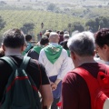 Romeria de les Canyes