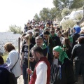 Romeria de les Canyes