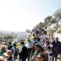 Romeria de les Canyes