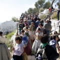 Romeria de les Canyes