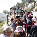 Romeria de les Canyes