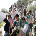 Romeria de les Canyes