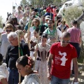 Romeria de les Canyes