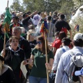 Romeria de les Canyes