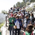 Romeria de les Canyes