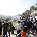 Romeria de les Canyes