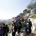 Romeria de les Canyes