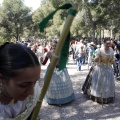 Romeria de les Canyes