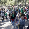 Romeria de les Canyes