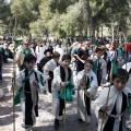 Romeria de les Canyes