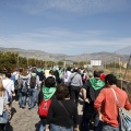 Romeria de les Canyes