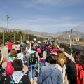 Romeria de les Canyes