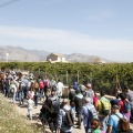 Romeria de les Canyes