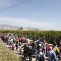 Romeria de les Canyes