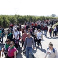 Romeria de les Canyes