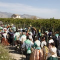 Romeria de les Canyes