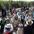 Romeria de les Canyes