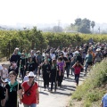 Romeria de les Canyes