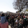 Romeria de les Canyes