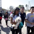 Romeria de les Canyes