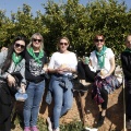 Romeria de les Canyes