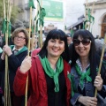 Romeria de les Canyes