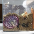 III Congreso de Gastronomía & Vino
