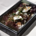 III Congreso de Gastronomía & Vino