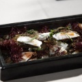 III Congreso de Gastronomía & Vino
