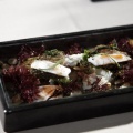 III Congreso de Gastronomía & Vino