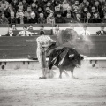 Andrés Núñez, fotografía