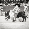 Andrés Núñez, fotografía