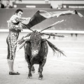 Andrés Núñez, fotografía