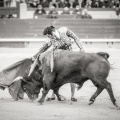 Andrés Núñez, fotografía