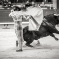 Andrés Núñez, fotografía