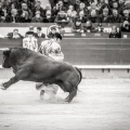 Andrés Núñez, fotografía