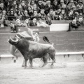 Andrés Núñez, fotografía