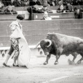 Andrés Núñez, fotografía