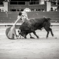 Andrés Núñez, fotografía