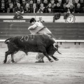 Andrés Núñez, fotografía