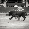 Andrés Núñez, fotografía