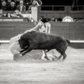 Andrés Núñez, fotografía