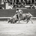 Andrés Núñez, fotografía