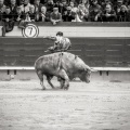 Andrés Núñez, fotografía