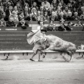 Andrés Núñez, fotografía